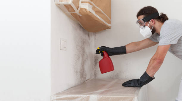 Professional Bathroom Mold Removal technician working in Baroda, MI