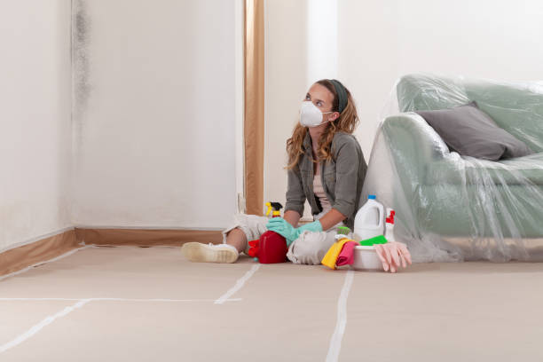 Reliable Bathroom Mold Removal contractor in Baroda, MI by 24 Hour Mold Removal